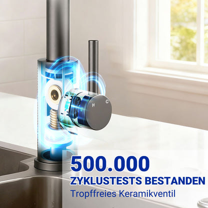 AICA Küchenarmatur mit ausziehbarem Auslauf, 360° Drehbar, 3 Modi – Edelstahl in verschiedenen Farben